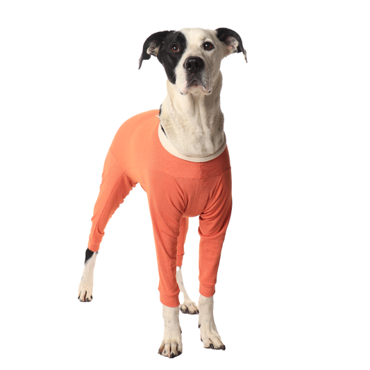 Luna & Milo CopperBody 4-Legs #3