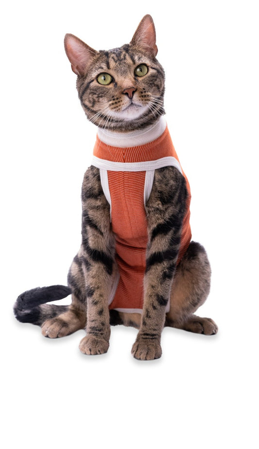 Luna & Milo CopperBody Classic Cat #1