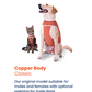 Luna & Milo CopperBody Classic Cat #2