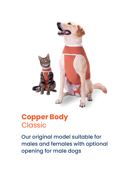 Luna & Milo CopperBody Classic Cat #2