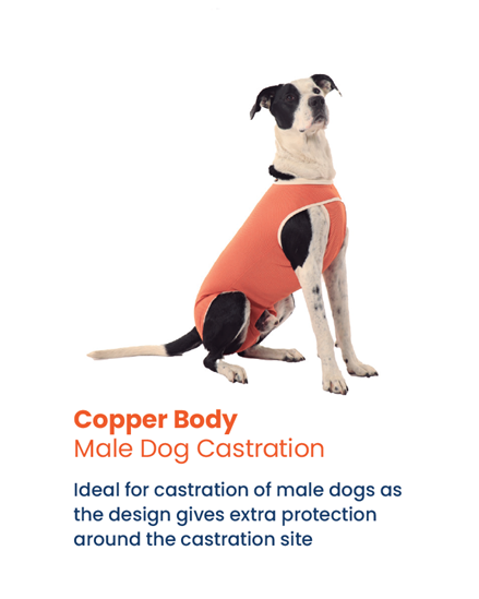 Luna & Milo CopperBody Castration #2