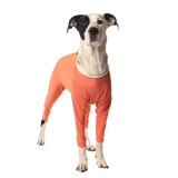 Luna & Milo CopperBody 4-Legs #2