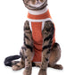 Luna & Milo CopperBody Classic Cat #00