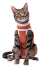 Luna & Milo CopperBody Classic Cat #00